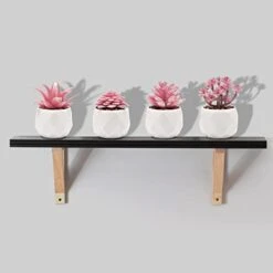CASTNOO Set Of 4 Succulents Plants Artificial, Mini Fake Succulents For Women Office, Faux Succulents Decor, Artificial Succulents In Ceramic Pots For Desk, Home, Shelf Decorations -Green Leaf Store 310J7r1B2kL