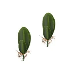 VOSAREA Artificial Orchid Leaves Fake Orchid Leaf Artificial Orchid Plant Fake Flower Leaf Home Office Wedding Christmas Decoration 2pcs Orchids Flowers Decoration Orchid Leaves Artificial -Green Leaf Store 311YEStqM1L