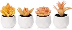 Tiita Artificial Faux Succulents In Pots Fake Plants Ceramic Arrangement Planter Small Mini Tiny Decoration For Home Office Desk Window Sill Bathroom Bedroom Outdoor Indoor -Green Leaf Store 313XhzoyhHL. AC 1