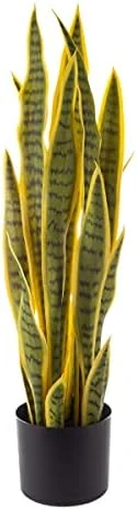 Artificial Sansevieria Snake Plant – 29.5-Inch Potted Fake Upward Foliage For Home Or Office Decoration – Pointed Polyester Leaves By Pure Garden 9 Artificial Sansevieria Snake Plant – 29.5-Inch Potted Fake Upward Foliage For Home Or Office Decoration – Pointed Polyester Leaves By Pure Garden - Image 9