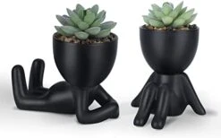 Galiejar Fake Succulents,Mini Succulents Plants Artificial With Ceramic Pots,Cute Home Decor Bathroom Decor Desk Decor Bedroom Decor Office Decor For Women (2Pack, Black) -Green Leaf Store 31OlpZnSKUL. AC