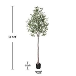 Dr.Planzen Artificial Olive Tree,7FT Tall Fake Plant Faux Olive Plants For Indoor,Natural Fake Tree,Artificial Silk Plants For Office Home Living Room Floor Patio Greening Porch Decor,Set Of 1. 18 Dr.Planzen Artificial Olive Tree,7FT Tall Fake Plant Faux Olive Plants For Indoor,Natural Fake Tree,Artificial Silk Plants For Office Home Living Room Floor Patio Greening Porch Decor,Set Of 1. -Green Leaf Store 31duiXfjftL