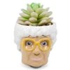 Silver Buffalo The Golden Girls Sophia Face Mini Ceramic Planter Decor | Official TV Show Collectible | Small Flower Pot For Indoor Plants, Includes Artificial Succulent | 3 Inches 6 Silver Buffalo The Golden Girls Sophia Face Mini Ceramic Planter Decor | Official TV Show Collectible | Small Flower Pot For Indoor Plants, Includes Artificial Succulent | 3 Inches -Green Leaf Store 31hQdN1wNkS