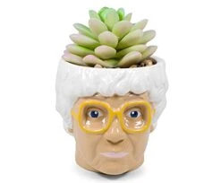 Silver Buffalo The Golden Girls Sophia Face Mini Ceramic Planter Decor | Official TV Show Collectible | Small Flower Pot For Indoor Plants, Includes Artificial Succulent | 3 Inches