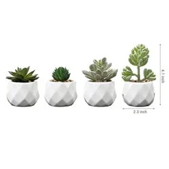 MyGift Set Of 4 Mini Assorted Artificial Succulent Fake Plants In Modern White Textured Ceramic Plant Pots 9 MyGift Set Of 4 Mini Assorted Artificial Succulent Fake Plants In Modern White Textured Ceramic Plant Pots -Green Leaf Store 31i5EeVpB8S