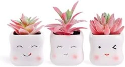 Tiita Artificial Faux Succulents In Pots Fake Plants Ceramic Arrangement Planter Small Mini Tiny Decoration For Home Office Desk Window Sill Bathroom Bedroom Outdoor Indoor 4 Set -Green Leaf Store 31keFOB5ZmL. AC