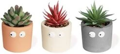 Zerzsy 3 PCS Cute Artificial Succulent Plants With Creative Human Shaped Pots, Mini Potted Succulents Decor For Home Decor (Matte Black) -Green Leaf Store 31mbcdtxuFL. AC
