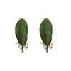 VOSAREA Artificial Orchid Leaves Fake Orchid Leaf Artificial Orchid Plant Fake Flower Leaf Home Office Wedding Christmas Decoration 2pcs Orchids Flowers Decoration Orchid Leaves Artificial -Green Leaf Store 31pEGtaKf7L