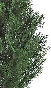 Two 4 Foot Artificial Topiary Cedar Trees Potted Indoor Outdoor Plants 5 Two 4 Foot Artificial Topiary Cedar Trees Potted Indoor Outdoor Plants - Image 5