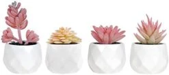 Tiita Artificial Faux Succulents In Pots Fake Plants Ceramic Arrangement Planter Small Mini Tiny Decoration For Home Office Desk Window Sill Bathroom Bedroom Outdoor Indoor 4 Set -Green Leaf Store 31t6yKUJRL. AC