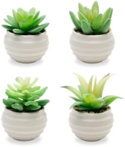 VIVERIE Rose Pink Faux Succulents In White Ceramic Pot Set Of 4 - Plant Gifts, Cute Aesthetic Pink Room, Home Decor Accents, Centerpieces, Bathroom Decor, Mum Gifts, Cactus Decor, Succulents Wedding 16 VIVERIE Rose Pink Faux Succulents In White Ceramic Pot Set Of 4 - Plant Gifts, Cute Aesthetic Pink Room, Home Decor Accents, Centerpieces, Bathroom Decor, Mum Gifts, Cactus Decor, Succulents Wedding -Green Leaf Store 31tUQ9UHWZL. AC
