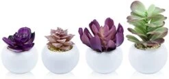 Tiita Artificial Faux Succulents In Pots Fake Plants Ceramic Arrangement Planter Small Mini Tiny Decoration For Home Office Desk Window Sill Bathroom Bedroom Outdoor Indoor 4 Set -Green Leaf Store 31wliordvmL. AC
