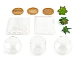 Mkono Artificial Succulent In Clear Glass Pot, Set Of 3 Mini Potted Fake Plants For Women Office Decor Small Faux Green Plant With BambooTray For Bookshelf Bathroom Kitchen Decor Tabletop Centerpiece -Green Leaf Store 31xBoR5xQbL