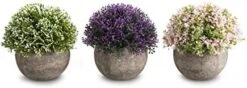 Opps Mini Artificial Plants Plastic Fake Green Colorful Flower Topiary Shrubs With Gray Pot For Home Décor – Set Of 3 15 Opps Mini Artificial Plants Plastic Fake Green Colorful Flower Topiary Shrubs With Gray Pot For Home Décor – Set Of 3 -Green Leaf Store 41 8h7D2FyL. AC