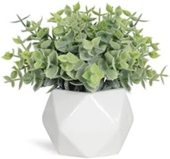 Tiita Artificial Faux Succulents In Pots Fake Plants Ceramic Arrangement Planter Small Mini Tiny Decoration For Home Office Desk Window Sill Bathroom Bedroom Outdoor Indoor -Green Leaf Store 410YRkQwxL. AC 1