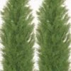 Two 9 Foot Artificial Cedar Topiary Trees Potted -Green Leaf Store 411XKLIehRL