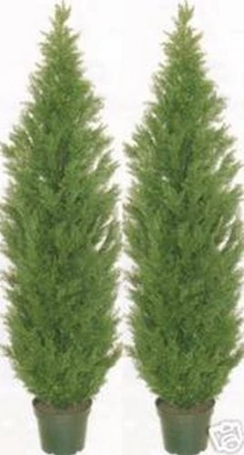 Two 9 Foot Artificial Cedar Topiary Trees Potted 1 Two 9 Foot Artificial Cedar Topiary Trees Potted