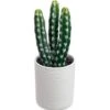 SEEKO Fake Cactus For Home Décor 11" - Artificial Faux Cactus For Southwest, Office, Desk, Shelf - Indoor Fake Plants - White Décor Accents - Modern Farmhouse Decor  -Green Leaf Store 411fdDGJ7IL