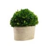 Serene Spaces Living Preserved Boxwood Oval Topiary In A Pot, Boxwood In Planters, Preserved Plant For Boxwood Table Decor, Boxwood Centerpiece, Measures 12.5" Tall, 7.5" Wide & 14" Long 14 Serene Spaces Living Preserved Boxwood Oval Topiary In A Pot, Boxwood In Planters, Preserved Plant For Boxwood Table Decor, Boxwood Centerpiece, Measures 12.5" Tall, 7.5" Wide & 14" Long -Green Leaf Store 411wv0rV0xL