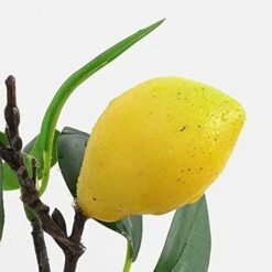 UNIE Artificial Lemon Topiary Mini Tree Potted Fake Plants In Pot For Home Office Decorations 10 UNIE Artificial Lemon Topiary Mini Tree Potted Fake Plants In Pot For Home Office Decorations -Green Leaf Store 412D1ArskQL