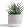 Kurrajong Farmhouse 8" X 4.5" Artificial Plant In Pot | Beautiful Faux Plant For Bedroom Decor | Fake Plant For Shelf Decor | Realistic Faux Succulent For Desk Decor | Artificial Succulent Plant Decor 10 Kurrajong Farmhouse 8" X 4.5" Artificial Plant In Pot | Beautiful Faux Plant For Bedroom Decor | Fake Plant For Shelf Decor | Realistic Faux Succulent For Desk Decor | Artificial Succulent Plant Decor -Green Leaf Store 412HPsllaFL