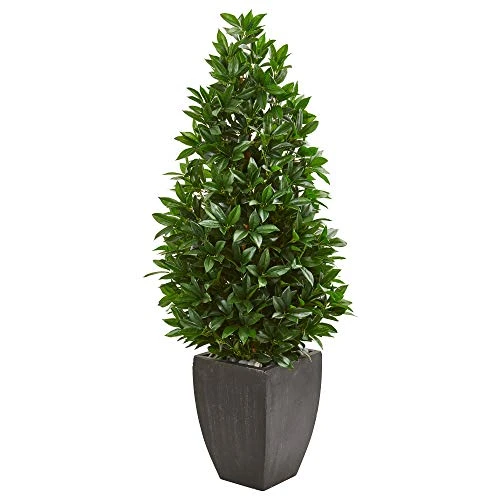 Nearly Natural 56-in. Bay Leaf Cone Topiary Artificial UV Resistant In Black Planter (Indoor/Outdoor) Silk Trees Green 1 Nearly Natural 56-in. Bay Leaf Cone Topiary Artificial UV Resistant In Black Planter (Indoor/Outdoor) Silk Trees Green