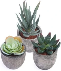 Iuuidu Artificial Potted Plant, Faux Succulent In Pot Emotional Cement Potted Plant Animated Artificial Succulents Decor For Home Living Room Bedroom And Office（Shy） -Green Leaf Store 412t94VyBsL. AC