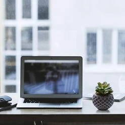 Succulent Decor, Fake Succulents, Succulent Wall Decor, Succulents Artificial Decor, Small Fake Plant, Succulent Decoration, Potted Plants, Set Of 3 Succulents 7 Succulent Decor, Fake Succulents, Succulent Wall Decor, Succulents Artificial Decor, Small Fake Plant, Succulent Decoration, Potted Plants, Set Of 3 Succulents -Green Leaf Store 412wJ1ODZNL