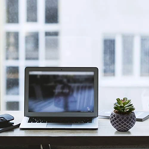 Succulent Decor, Fake Succulents, Succulent Wall Decor, Succulents Artificial Decor, Small Fake Plant, Succulent Decoration, Potted Plants, Set Of 3 Succulents 3 Succulent Decor, Fake Succulents, Succulent Wall Decor, Succulents Artificial Decor, Small Fake Plant, Succulent Decoration, Potted Plants, Set Of 3 Succulents - Image 3