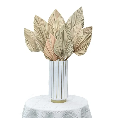 PYSAZI 12 Pcs Natural Dried Palm Leaves Boho Dried Palm Spears Leaves Bulk Small Dried Real Palm Fans Dry Palm Leaves With Stems Dried Leaf Boho Home Décor For Vase Wedding Office Home 43.5*12cm 1 PYSAZI 12 Pcs Natural Dried Palm Leaves Boho Dried Palm Spears Leaves Bulk Small Dried Real Palm Fans Dry Palm Leaves With Stems Dried Leaf Boho Home Décor For Vase Wedding Office Home 43.5*12cm