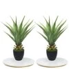 27" H Sansevieria Snake Plant - Artificial Agave – Green Color– With Pot – From MOMO Plant -Green Leaf Store 41383NbkBWL