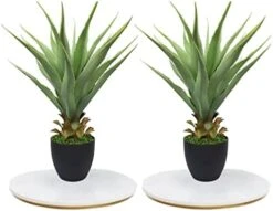 27" H Sansevieria Snake Plant - Artificial Agave – Green Color– With Pot – From MOMO Plant 6 27" H Sansevieria Snake Plant - Artificial Agave – Green Color– With Pot – From MOMO Plant -Green Leaf Store 41383NbkBWL. AC