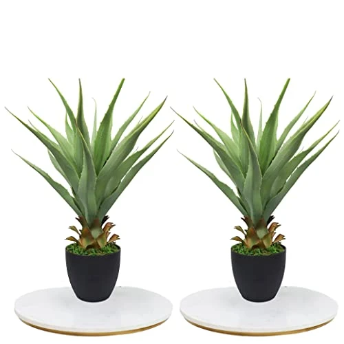 27" H Sansevieria Snake Plant - Artificial Agave – Green Color– With Pot – From MOMO Plant 1 27" H Sansevieria Snake Plant - Artificial Agave – Green Color– With Pot – From MOMO Plant