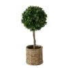 WHW Whole House Worlds Realistic Faux Potted Boxwood Ball Topiary Tree, Rattan Basket Planter, 17 Inches Tall, Weighted Bottom, French Country Style -Green Leaf Store 413CUSdQRJL
