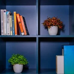 Plants+ Artificial Fake Faux Indoor House Desk Office For Decoration - Plastic Lifelike Flower With White Pot, Outdoor Decor Topiary Greenery, Set Of 1, Lavender -Green Leaf Store 413JHjtGO0L