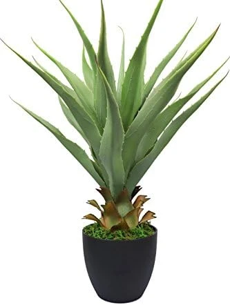 27" H Sansevieria Snake Plant - Artificial Agave – Green Color– With Pot – From MOMO Plant 4 27" H Sansevieria Snake Plant - Artificial Agave – Green Color– With Pot – From MOMO Plant - Image 4