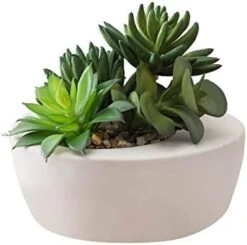 FAVRD Artificial Succulents In Cement Pot Environmentally Conscious Partly Recycled Fake Plants Artificial Plants Indoor Home Office Decor Desk Faux Plants, 8.5 X 8.5 X 8.75 Inches, Green, (10181-A) -Green Leaf Store 413kZAyvC5L. AC