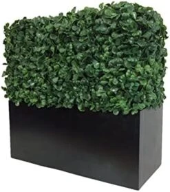 MODEENI Boxwood Topiary Ball 11 Inch Green Artificial Plant Real Look Home Decor Indoor/Outdoor For Porch Patio Or Wedding Round Bush Shrub, Modern Fresh With Hanging Chain -Green Leaf Store 414PKe90DGL. AC