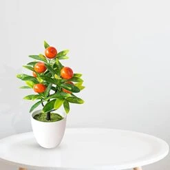FXforer 4Pcs Mini Artificial Fruit Tree Potted Bonsai Plant,Decorative Lifelike Berry,Apple,Orange,Peach Plants With White Vase,Fake Plants Arrangement Topiary For Home Office Desk Room Decoration 7 FXforer 4Pcs Mini Artificial Fruit Tree Potted Bonsai Plant,Decorative Lifelike Berry,Apple,Orange,Peach Plants With White Vase,Fake Plants Arrangement Topiary For Home Office Desk Room Decoration -Green Leaf Store 414XYyUCtrS