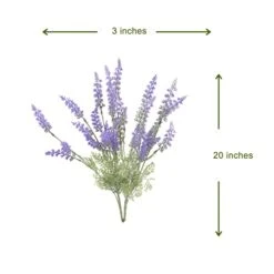 Green Leaf Store -Green Leaf Store 414o1Yb8c6L