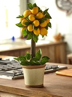 Nearly Natural Lemon Ball Arrangement Topiary, Yellow,19.5'' X 8.5'' X 8.75'' - 4865 -Green Leaf Store 414qlAZJ3PL
