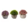 T4U Plastic Artificial Plants Fake Plants With Pots Decorative Colorful Lifelike Flower For Home/Office Decor Pack Of 3 -Green Leaf Store 414vnjrWQqL