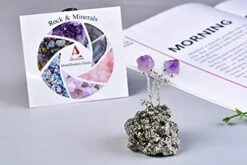 AMOYSTONE Natural Amethyst Flower Tree Wrapped On Quartz Pyrite Base Healing Stone Tree Money Tree For Wealth And Luck Amethyst Pyrite 3-4" Tall -Green Leaf Store 4150Sd8uWeL