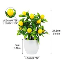 FQQWEE 2Pcs Artificial Lemon Tree Potted Plants 10Inch Mini Greenery Fake Lemon Fruit Bonsai Simulation Yellow Lemon Tree Topiary Plants For Home Offoce Party Decoration … -Green Leaf Store 4152HDPSpLL