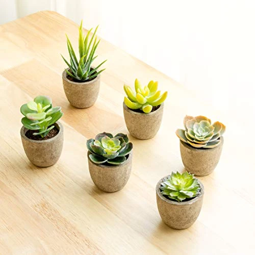 T4U Artificial Succulent Plants In Pot, Assorted Faxu Succulent Fake Cactus Cacti With Grey Pots For Decorative, Set Of 6 2 T4U Artificial Succulent Plants In Pot, Assorted Faxu Succulent Fake Cactus Cacti With Grey Pots For Decorative, Set Of 6 - Image 2