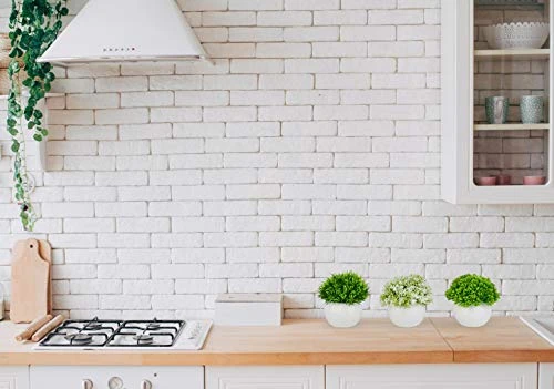 ELYSIANZE Mini Artificial Plants | Modern Farmhouse Plants Home Decor | Small Fake Plants | Office/Kitchen/Bathroom/Bedroom/Mantle/Shelf/Living Room/Table Decoration Faux Plant Set 4 ELYSIANZE Mini Artificial Plants | Modern Farmhouse Plants Home Decor | Small Fake Plants | Office/Kitchen/Bathroom/Bedroom/Mantle/Shelf/Living Room/Table Decoration Faux Plant Set - Image 4