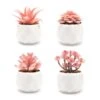 VIVERIE Rose Pink Faux Succulents In White Ceramic Pot Set Of 4 - Plant Gifts, Cute Aesthetic Pink Room, Home Decor Accents, Centerpieces, Bathroom Decor, Mum Gifts, Cactus Decor, Succulents Wedding -Green Leaf Store 417eEajrSuL