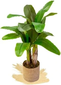 Artificial Banana Tree, Made With The Best Materials, Ideal For Home Decoration, Artificial Plant 7 Feet Tall - 83 Inches -Green Leaf Store 417ilbA6VUL. AC