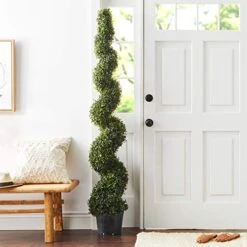 Silk Decor 6-Feet Pond Boxwood Spiral Topiary Plant, Green -Green Leaf Store 418MKeV98mL