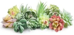 Happyhapi 12 Pcs Artificial Succulents Mini Fake Plants Unpotted Faux Succulent For Craft, Small Plastic Succulents Assortment In Flocked Green Floral Decor For Party, Cake, Garden & Outdoor -Green Leaf Store 418WXm XjsL. AC